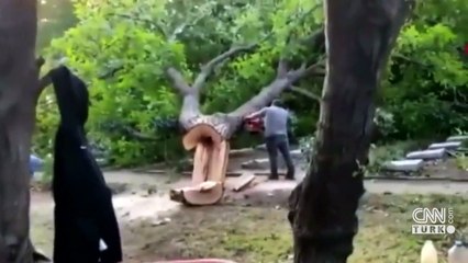 Şehitlikte "ağaç kesim" tartışması