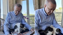 Cumhurbaşkanı Erdoğan'ın torununun kedisiyle fotoğrafını paylaştı