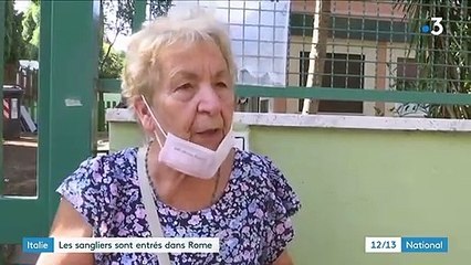 Italie : le ras-le-bol des habitants de Rome face à l'invasion de sangliers dans la ville