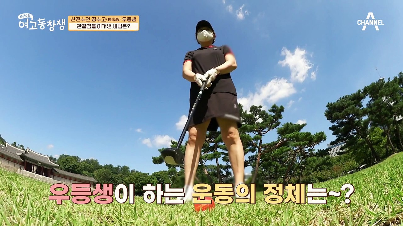관절염이면 무릎을 쓰면 안된다는 생각은 편견?! 파크 골프로 관절염을 이겨내다!
