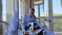 Cumhurbaşkanı Erdoğan, torununun kedisiyle fotoğrafını paylaştı