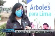 “Árboles para Lima”: Serpar plantó más de dos mil molles costeros en SJM