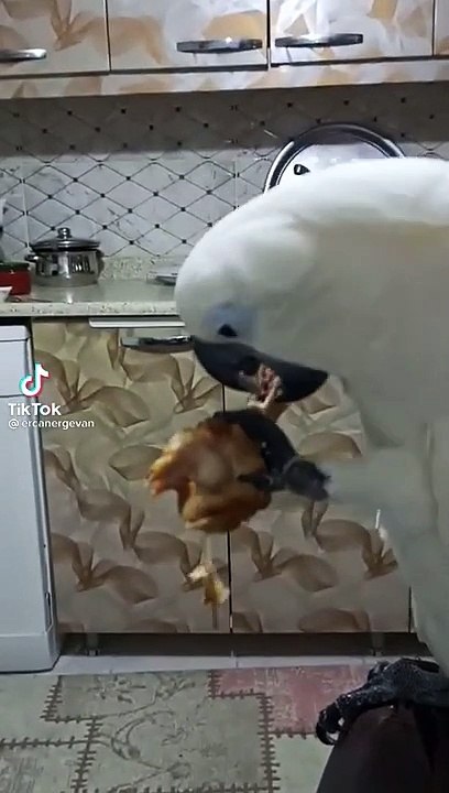 boşuna canavar demiyoruz
