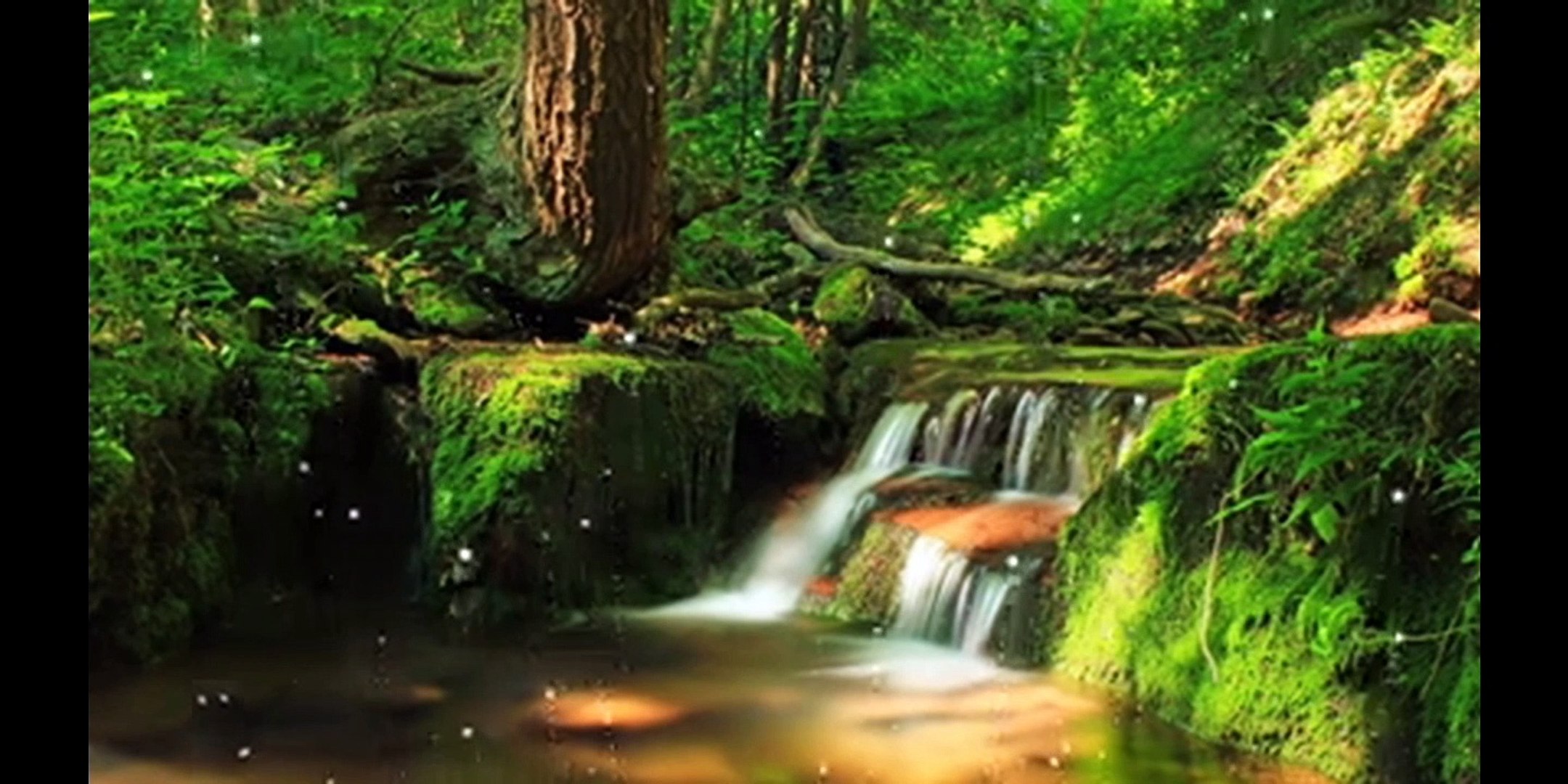 Relaxing Music, Stress Relief Music, Sleep Music, Meditation Music, Study, Calming Music