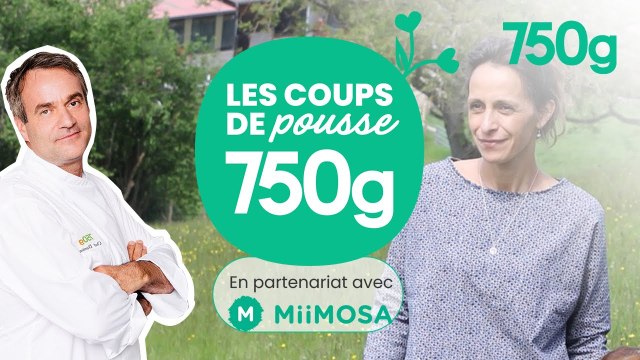 Chef Damien aide Alexandra dans le Haut-Beaujolais ( #4 les Coups de pousse 750g) - 750g