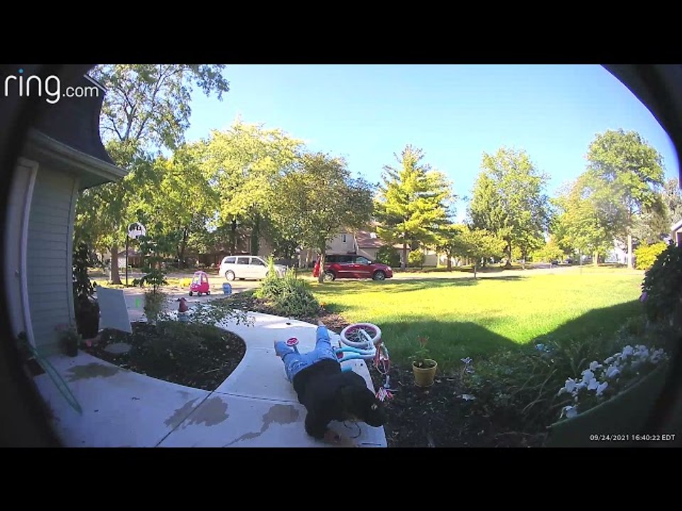 Path Becomes Obstacle Course for Unsuspecting Parent