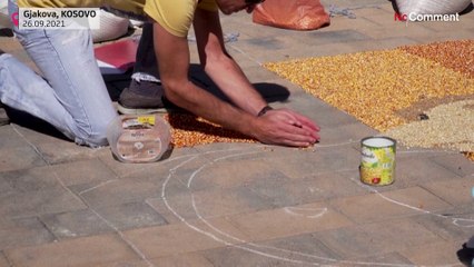 Портрет Ангелы Меркель из семян