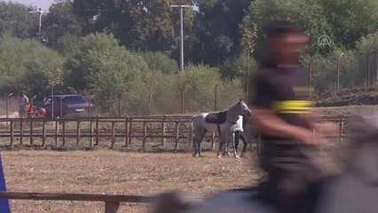 "2021 Rahvan Binicilik Türkiye Şampiyonası" yapıldı