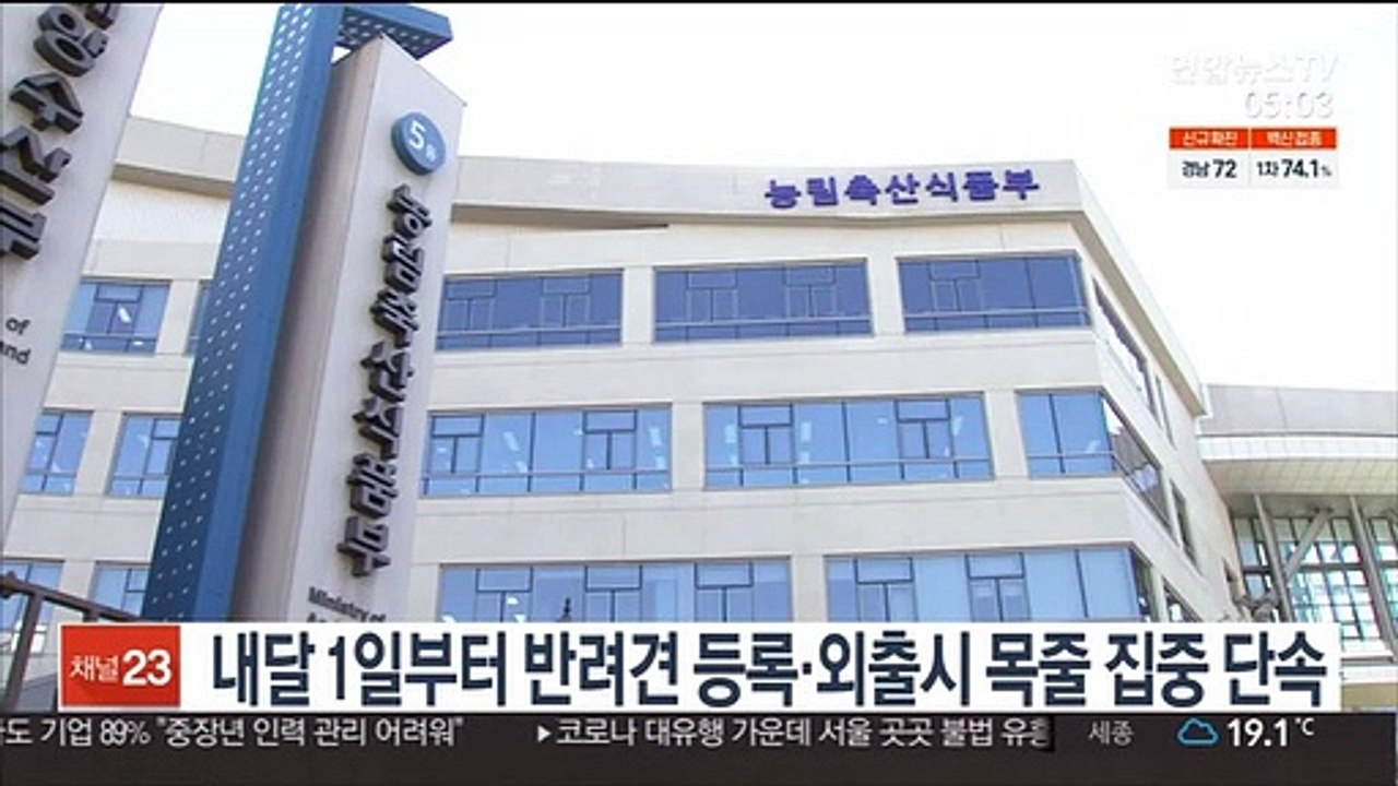 내달 1일부터 반려견 등록·외출시 목줄 집중 단속
