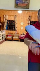 kelucuan fadil jaidi dan pak muhammad