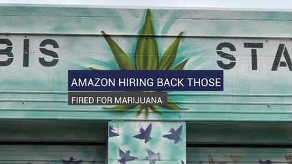 Amazon Hiring Back Those Fired for Marijuana
