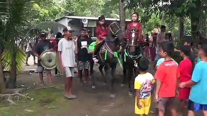 JOGED HORSE