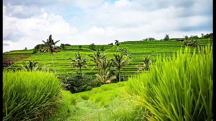 next relaxing music for stress relief and childhood memories