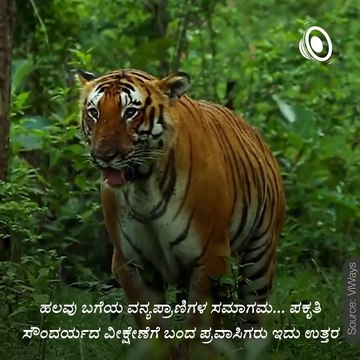 Dandeli one of Famous Tourist Places at Karnataka.