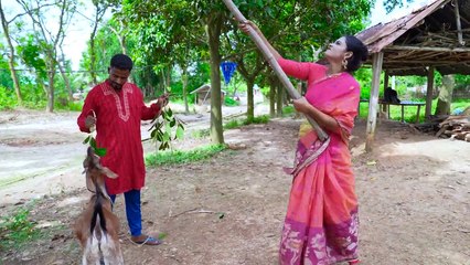 Must Watch New Funniest Comedy video 2021 amazing comedy video 2021