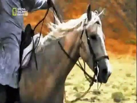 Les mystères de la bible - L'apocalypse - Mysteries of the Bible - Apocalypse-iFYb0dxLoa4