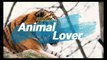 Beautiful White Cat |Animal Lover |Animals