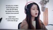 Mei Li De Shen Hua 美丽的神话 ( Endless Love) - The Myth OST - Shania Yan Cover