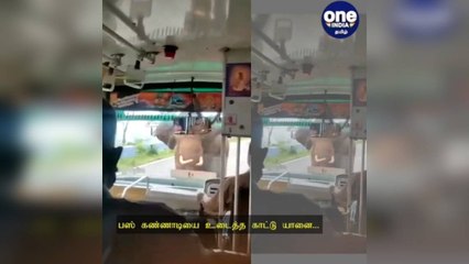 பஸ் கண்ணாடியை உடைத்த காட்டு யானை: அச்சத்தில் உறைந்த பயணிகள்!