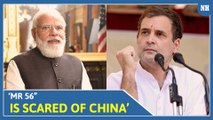 Mr 56 is scared of China: Rahul Gandhi mocks PM Narendra Modi ahead of meet with Biden, QUAD leaders