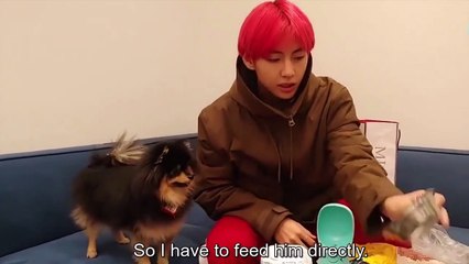 [ENG SUB] BTS V KIM TAEHYUNG Introducing Kim Yeontan To Army HQ