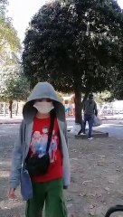 İstanbul'un göbeğinde hokus pokus! Ağacın içine giren çuvallar kayboluyor