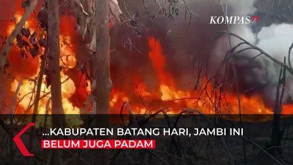 Sudah Sepekan, Api Kebakaran Tambang di Jambi Tak Kunjung Padam