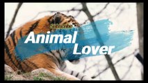 The Cat felling Lazy |Animal lover |animals channel
