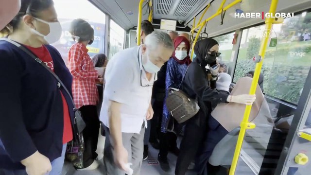 Otobüse binen 'gezgin köpek' yolcuların ilgi odağı oldu