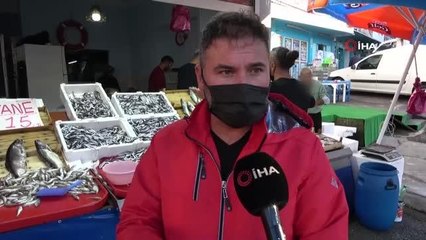 Palamut tezgahlara gelmeyince, ilgi hamsiye döndü