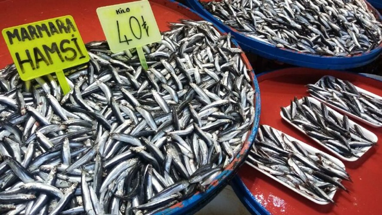 Hamsinin kilosu 40 liraya çıktı