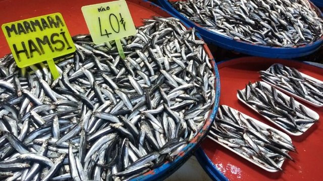 Hamsinin kilosu 40 liraya çıktı