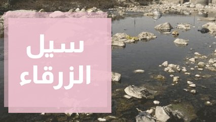 فيضان سيل الزرقاء.. خطر يهدد المواطنين القاطنين بمحاذاته