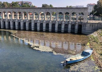 ONLARCA CANLININ YAŞAM ALANI SAZLIKLAR, BEYŞEHİR GÖLÜ'NÜ KORUMA ADINA KESİLDİ