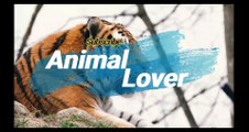 Twin Cats |Animal Lover |Animals