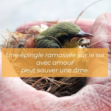 Sainte Thérèse de Lisieux, l'une des plus grandes saintes des temps modernes