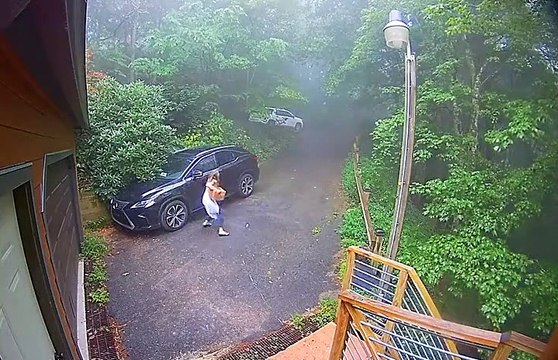 Femme vs Ours dans sa voiture