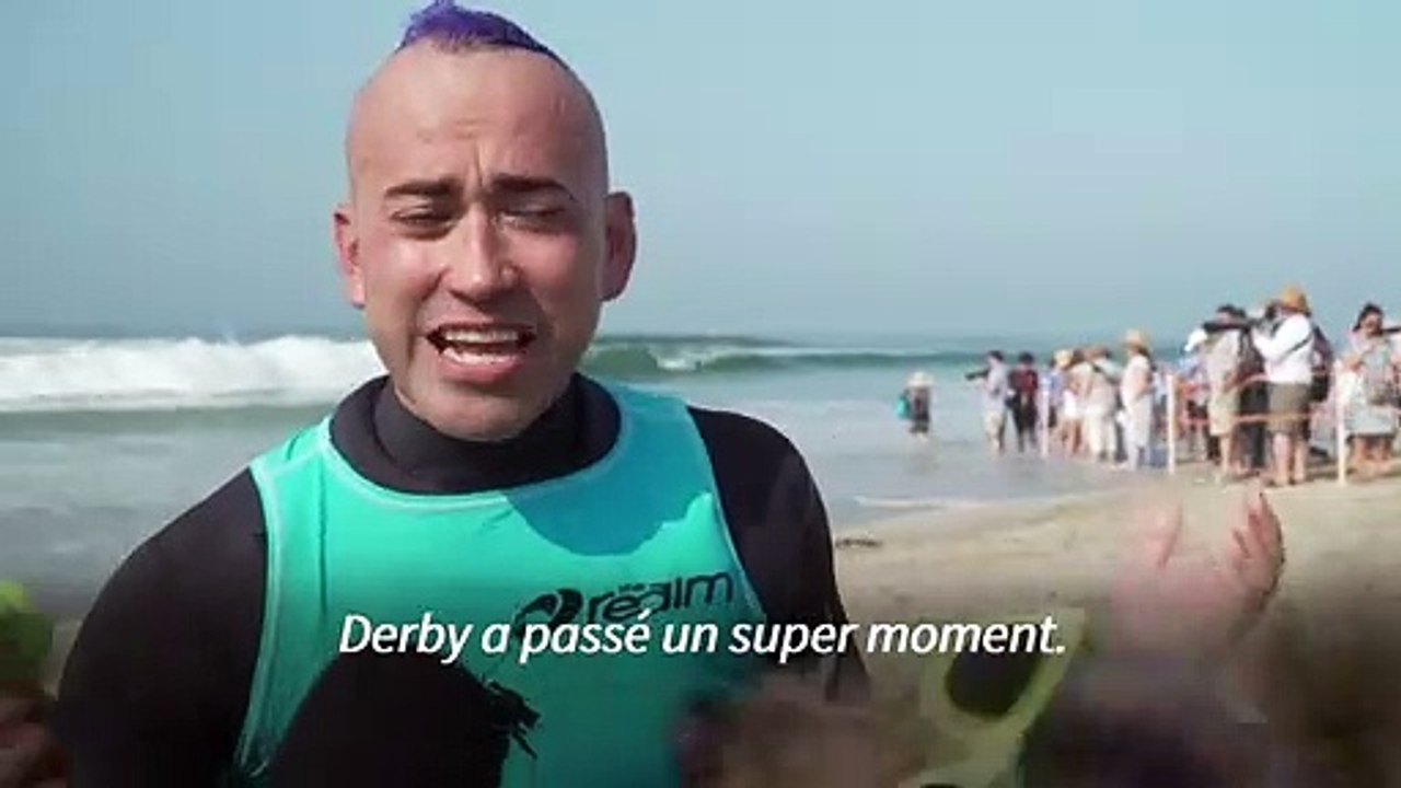 Californie: des chiens-surfeurs à la conquête des plus belles vagues