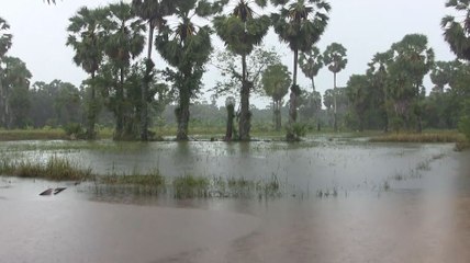 9เศรษฐกิจ (ข่าวเที่ยง) 27 ก.ย.2564