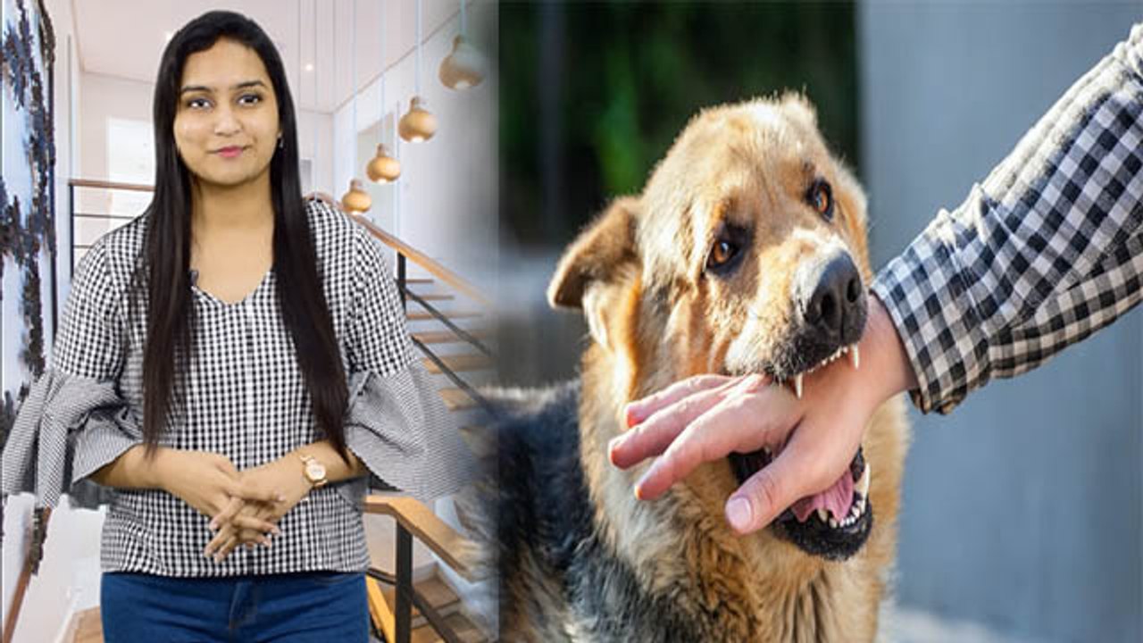 Dog Bite के बाद सबसे पहले करें ये 1 काम, नहीं फैलेगा Infection | Boldsky
