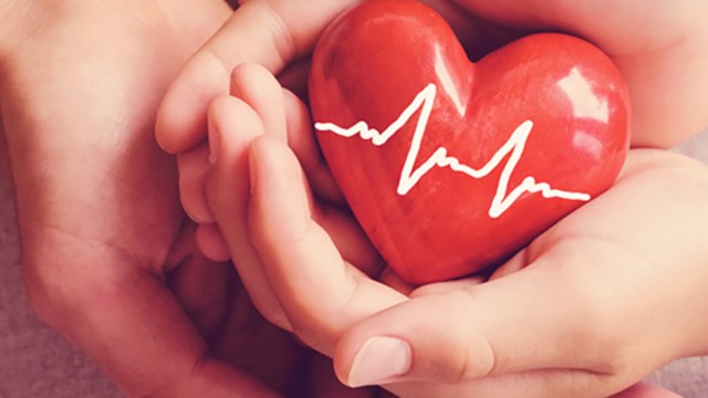 Curiosidades sobre el corazón