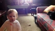 Funny Cats And Babies Playing Together Animals Trolling Babies