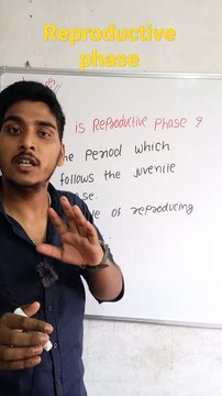 Reproductive phase | Reproductive phase in Hindi | Reproductive phase biology | what is Reproductive phase #cityclasses