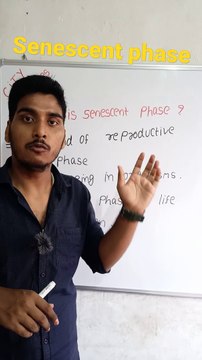 Senescent phase | senescent phase in Hindi | senescent phase biology | what is senescent phase #cityclasses
