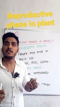 Reproductive phase in plants | Reproductive phase in plants in Hindi | Reproductive phase in plants biology | what is Reproductive phase in plants #cityclasses