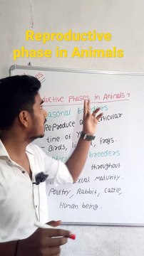Reproductive phase in animals | Reproductive phase in animals in Hindi | Reproductive phase in animals biology | what is Reproductive phase in animals #cityclasses