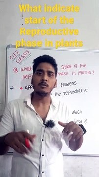 What indicate start of Reproductive phase in plants | What indicate start of Reproductive phase in plants in Hindi #cityclasses