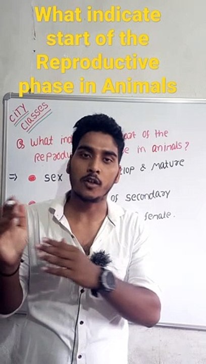 What indicate start of the Reproductive phase in animals | what indicate start of the Reproductive phase in animals in Hindi | what indicate start of the Reproductive phase in animals biology #cityclasses
