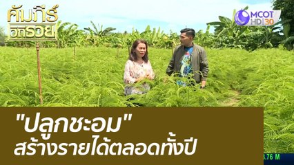 "ปลูกชะอม" สร้างรายได้ ได้ตลอดทั้งปี : คัมภีร์วิถีรวย (27 ก.ย. 64)