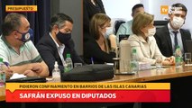 Safrán expuso en Diputados